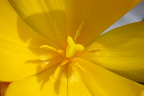 slideshow